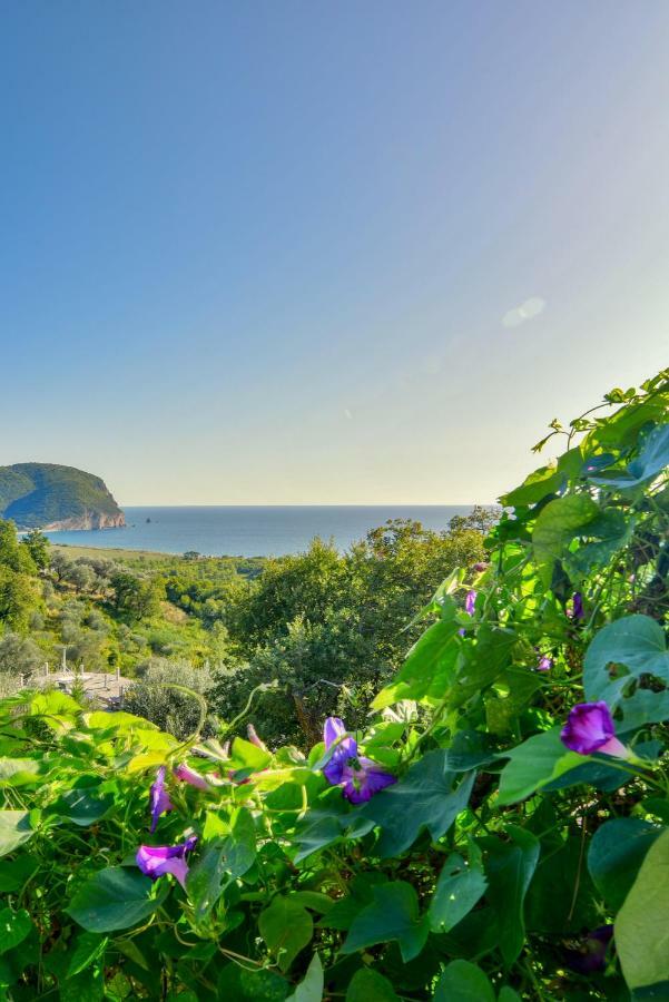 Pataki Guesthouse Petrovac Bagian luar foto
