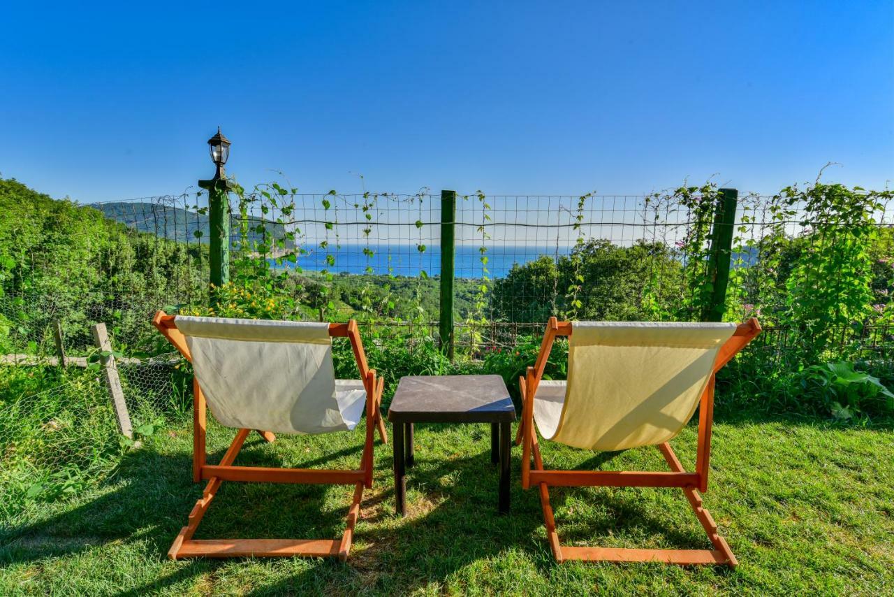 Pataki Guesthouse Petrovac Bagian luar foto