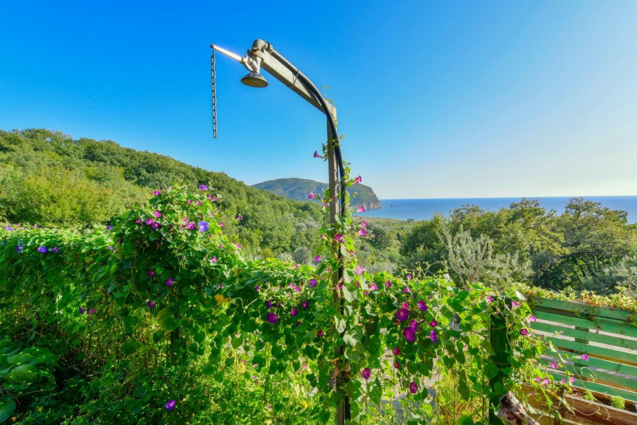 Pataki Guesthouse Petrovac Bagian luar foto